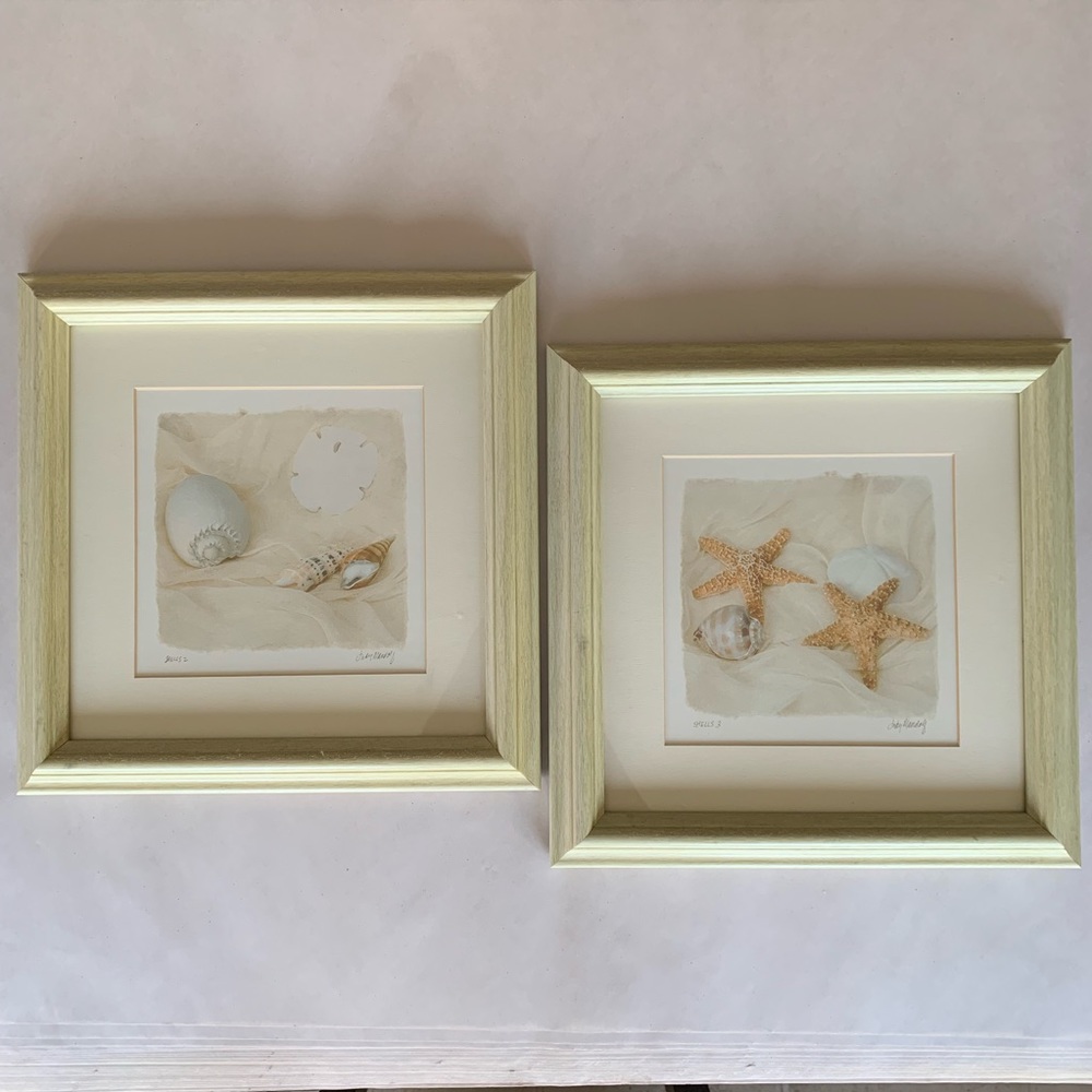 Framed Prints- Shells 2 & Shells 3 by Judy Mandolf